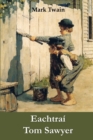 Eachtrai Tom Sawyer : The Adventures of Tom Sawyer, Irish edition - Book