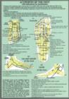 Acupoints of the Feet -- A4 - Book