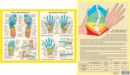 Hand & Foot Reflexology -- A4 - Book