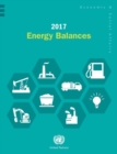 2017 energy balances - Book