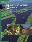 Building natural capital - Book