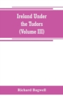 Ireland under the Tudors; with a succinct account of the earlier history (Volume III) - Book