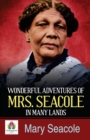 Wonderful Adventures of Mrs Seacole in Many Lands - Book