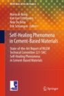Self-Healing Phenomena in Cement-Based Materials : State-of-the-Art Report of RILEM Technical Committee 221-SHC: Self-Healing Phenomena in Cement-Based Materials - eBook