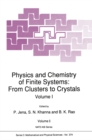 Physics and Chemistry of Finite Systems: From Clusters to Crystals - eBook