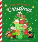 Counting Down to Christmas : Advent Book with Festive Flaps - Book