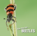 How they live... Beetles - eBook