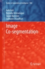 Image Co-segmentation - Book