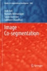 Image Co-segmentation - Book