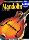Mandolin Lessons for Beginners : Teach Yourself How to Play Mandolin (Free Audio Available) - eBook