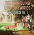 The Intriguing Life of Fairies : 4 Books in 1 - Book