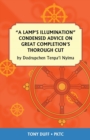 A Lamp's Illumination Condensed Advice on Great Completion's Thorough Cut - Book