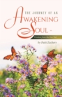 The Journey of an Awakening Soul - Wisdom from the Hot Tub - eBook