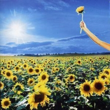 Thank You: The Best Of, CD / Album Cd Thank You: The Best Of, CD / Album Cd