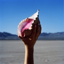 Wonderful Wonderful, CD / Album Cd Wonderful Wonderful, CD / Album Cd