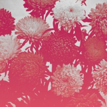 Broken things