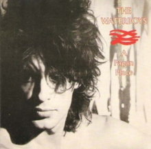 A Pagan Place, CD / Album Cd A Pagan Place, CD / Album Cd