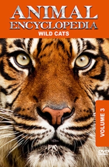 Animal Encyclopedia: Volume 3 - Wild Cats, DVD DVD Animal Encyclopedia: Volume 3 - Wild Cats, DVD DVD