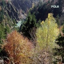 Wald, Vinyl / 12" Album Vinyl Wald, Vinyl / 12" Album Vinyl