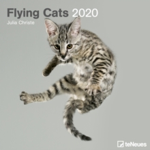 FLYING CATS 30 X 30 CM GRID CALENDAR 202, Book FLYING CATS 30 X 30 CM GRID CALENDAR 202, Book