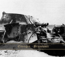 Brummbr