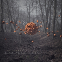 Accretion, CD / Album Cd Accretion, CD / Album Cd