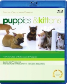 Puppies and Kittens, Blu-ray BluRay Puppies and Kittens, Blu-ray BluRay