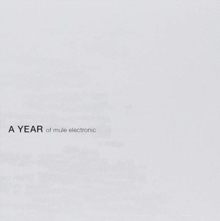 Mule Electronic - A Year