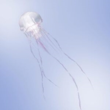 Luminous (Type A)