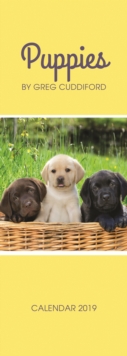 Puppies By Greg Cuddiford S 2019, Paperback Book Puppies By Greg Cuddiford S 2019, Paperback Book