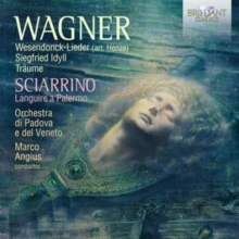 Wagner: Wesendonck-Lieder (Arr. Henze)/Siegfried Idyll/Trume/..