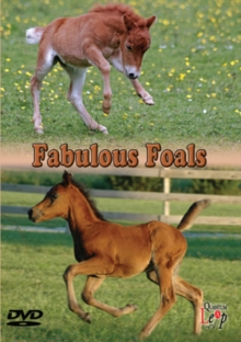 Fabulous Foals, DVD DVD Fabulous Foals, DVD DVD