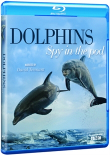 Dolphins: Spy in the Pod, Blu-ray BluRay Dolphins: Spy in the Pod, Blu-ray BluRay
