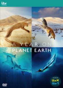 A Year On Planet Earth