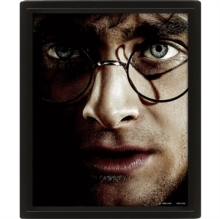 Harry Potter (Harry Vs Voldemort) - Framed