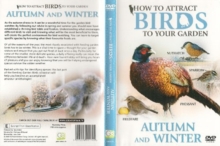 How to Attract Birds to Your Garden: Autumn and Winter