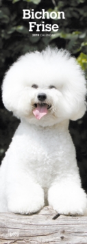 BICHON FRISE 2019 SLIM CALENDAR, Spiral bound Book BICHON FRISE 2019 SLIM CALENDAR, Spiral bound Book