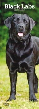 BLACK LABS 2019 SLIM CALENDAR, Spiral bound Book BLACK LABS 2019 SLIM CALENDAR, Spiral bound Book