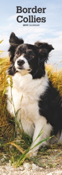 BORDER COLLIES 2019 SLIM CALENDAR, Spiral bound Book BORDER COLLIES 2019 SLIM CALENDAR, Spiral bound Book