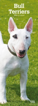 BULL TERRIERS 2019 SLIM CALENDAR, Spiral bound Book BULL TERRIERS 2019 SLIM CALENDAR, Spiral bound Book