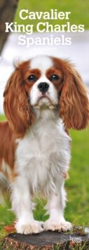 CAVALIER KING CHARLES SPANIELS 2019 SLIM, Spiral bound Book CAVALIER KING CHARLES SPANIELS 2019 SLIM, Spiral bound Book