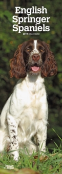 ENGLISH SPRINGER SPANIELS 2019 SLIM CALE, Spiral bound Book ENGLISH SPRINGER SPANIELS 2019 SLIM CALE, Spiral bound Book