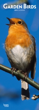 GARDEN BIRDS 2019 SLIM CALENDAR, Spiral bound Book GARDEN BIRDS 2019 SLIM CALENDAR, Spiral bound Book