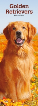 GOLDEN RETRIEVERS 2019 SLIM CALENDAR, Spiral bound Book GOLDEN RETRIEVERS 2019 SLIM CALENDAR, Spiral bound Book
