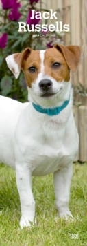 JACK RUSSELLS 2019 SLIM CALENDAR, Spiral bound Book JACK RUSSELLS 2019 SLIM CALENDAR, Spiral bound Book
