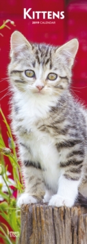 KITTENS 2019 SLIM CALENDAR, Spiral bound Book KITTENS 2019 SLIM CALENDAR, Spiral bound Book
