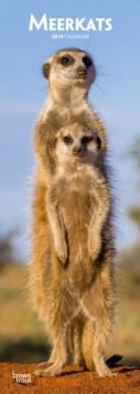 MEERKATS 2019 SLIM CALENDAR, Spiral bound Book MEERKATS 2019 SLIM CALENDAR, Spiral bound Book