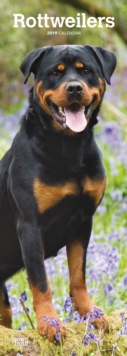 ROTTWEILERS 2019 SLIM CALENDAR, Spiral bound Book ROTTWEILERS 2019 SLIM CALENDAR, Spiral bound Book