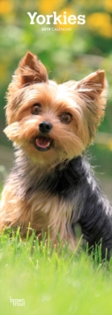 YORKIES 2019 SLIM CALENDAR, Spiral bound Book YORKIES 2019 SLIM CALENDAR, Spiral bound Book
