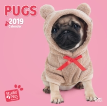 PUGS BY STUDIO P 2019 MINI WALL CALENDAR, Paperback Book PUGS BY STUDIO P 2019 MINI WALL CALENDAR, Paperback Book